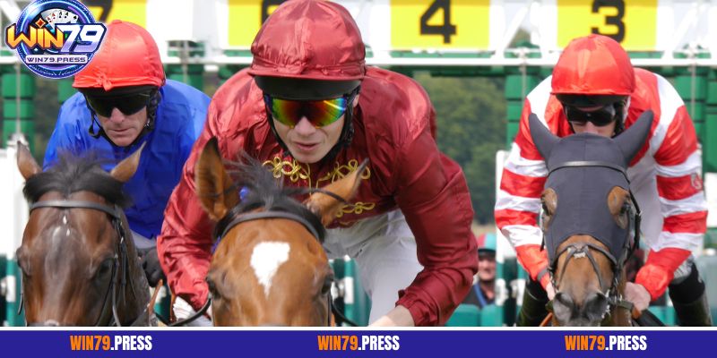 4 hình thức cược đua ngựa hút khách