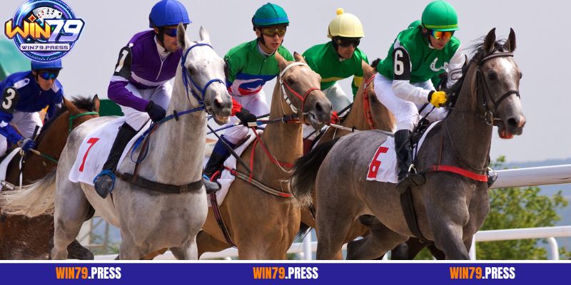 4 mẹo cá cược đua ngựa dễ thắng