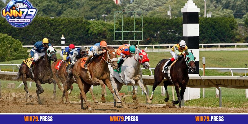 Cá cược đua ngựa là gì?