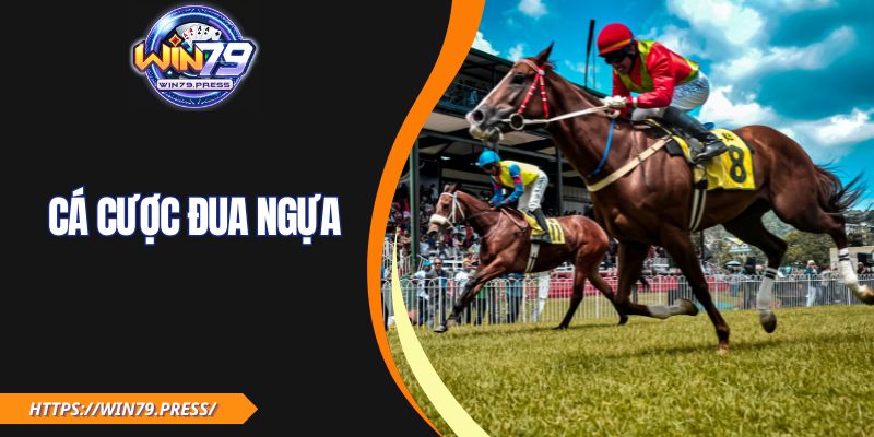 Cá Cược Đua Ngựa| Soi Tỷ Lệ, Đọc Form Ngựa Để Thắng Lớn