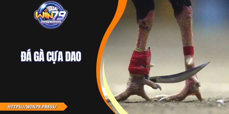 Đá Gà Cựa Dao WIN79| Mẹo Cược Hiệu Quả Cho Người Mới