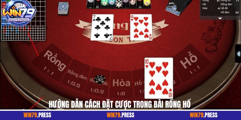 Hướng dẫn cách đặt cược trong bài Rồng Hổ