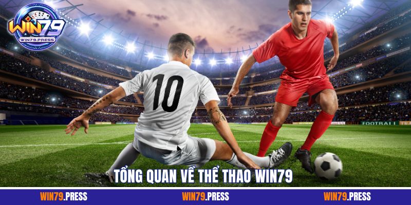 Khám phá thế giới thể thao trực tuyến đa dạng và hấp dẫn tại Win79 