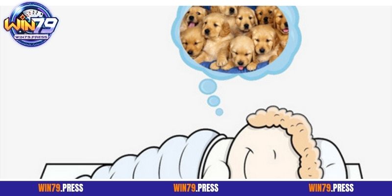 Một vài điểm cần chú ý khi luận số tại nhà cái 79Win